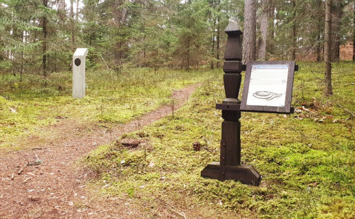 7_Degučių piliakalnis (2).jpg